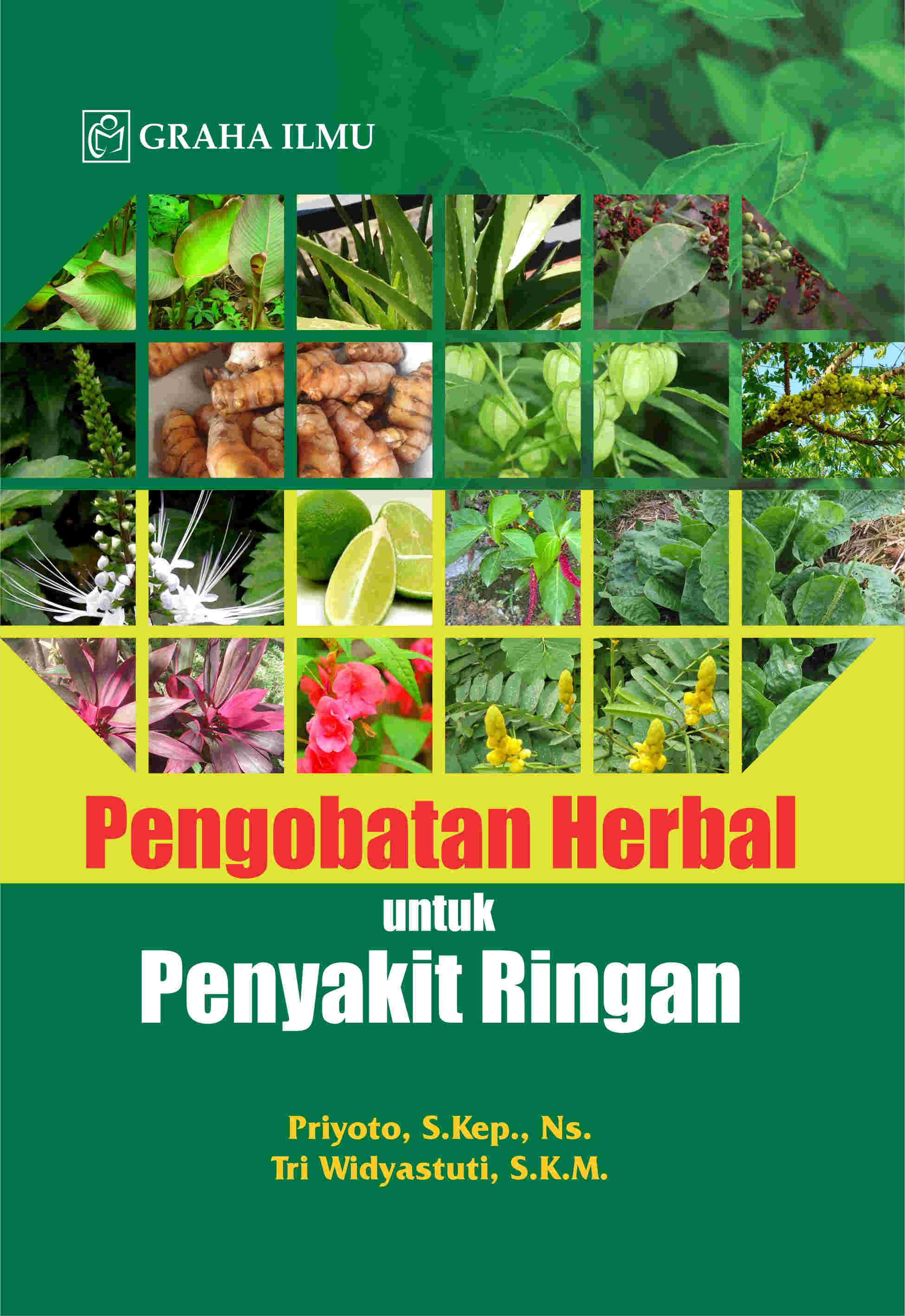 Sampul buku Pengobatan Herbal untuk P...